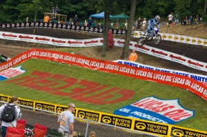 Red Bud!