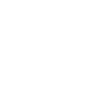 Fox Fox