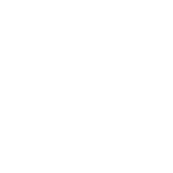 Fly Fly
